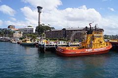 Port Authority vessels berthed at Moore's Wharf, Sydney Harbour 