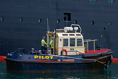 Pilot vessel at Port of Eden
