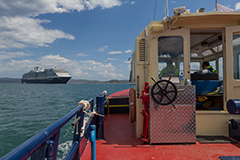 On board a pilot vessel with cruise ship in the background at Port of Eden