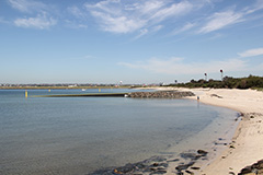 Foreshore beach at Port Botany